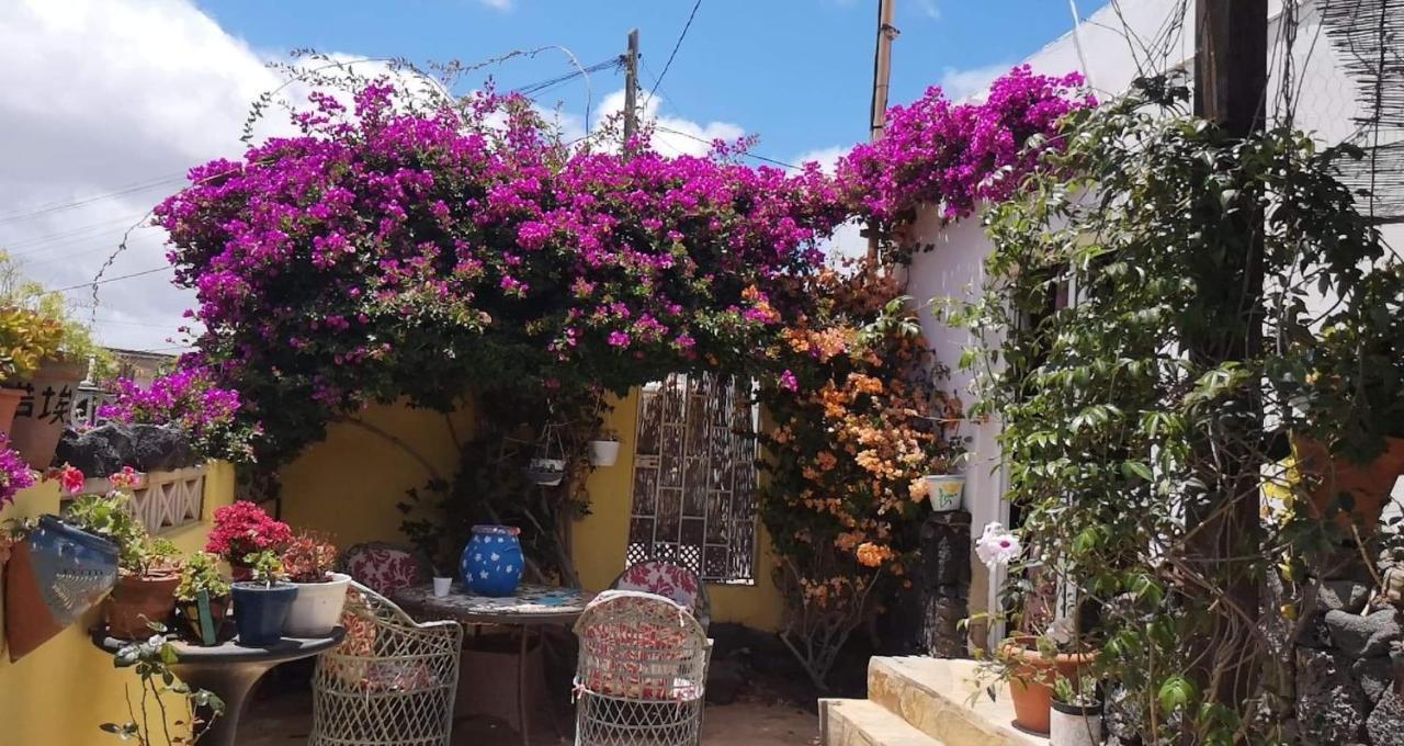 Casa De Gato Rustic Finca Tahiche Esterno foto
