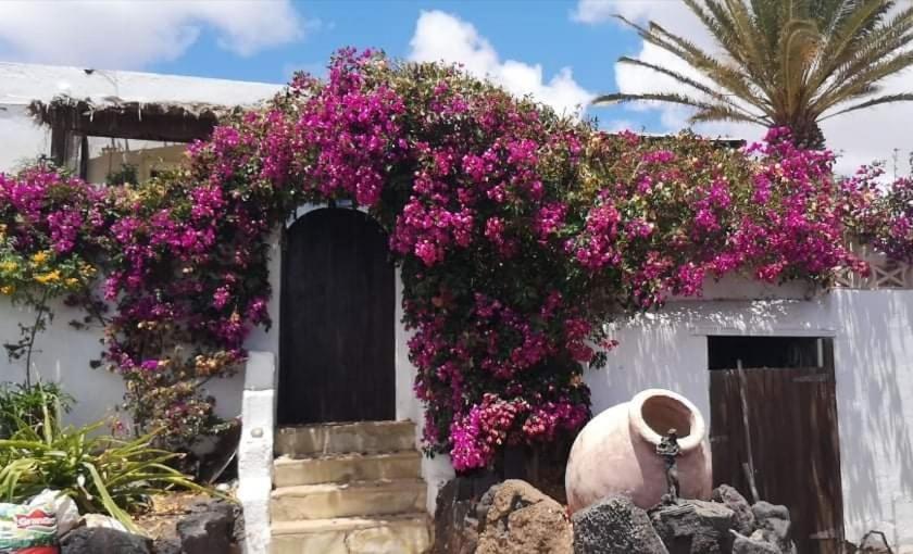 Casa De Gato Rustic Finca Tahiche Esterno foto