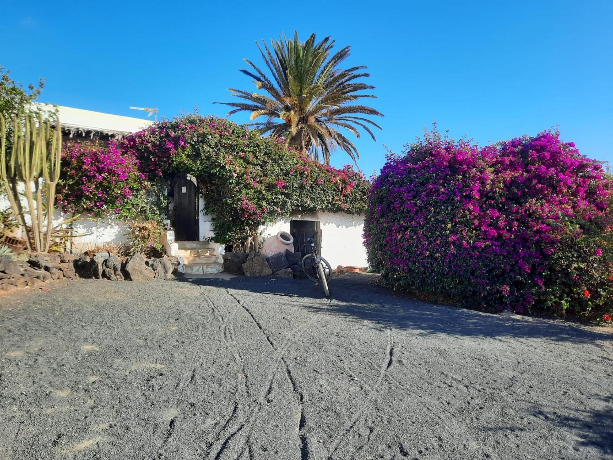 Casa De Gato Rustic Finca Tahiche Esterno foto